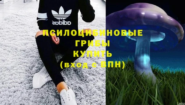 спиды Баксан