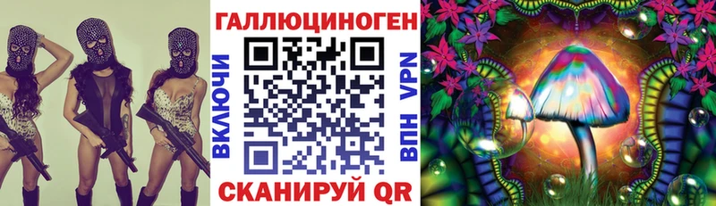 kraken   Лахденпохья  Галлюциногенные грибы GOLDEN TEACHER 