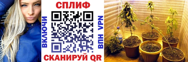 МАРИХУАНА THC 21%  Лахденпохья 